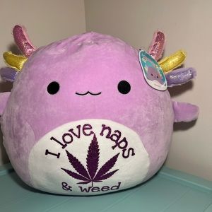 12 inch Custom Squishmellow